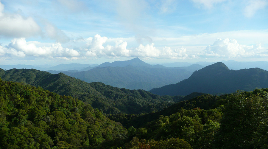 Bach Ma National Park