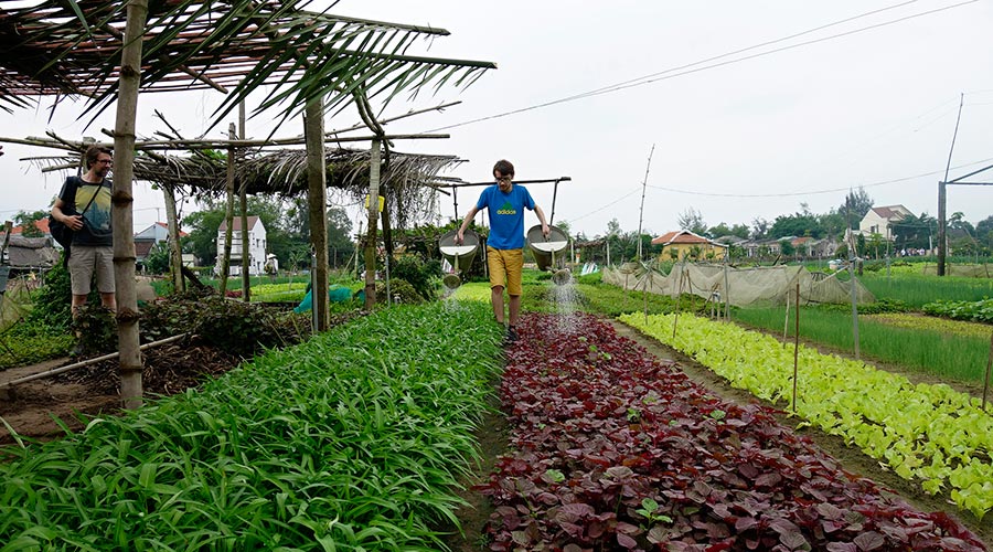 Hoi An Tra Que Village