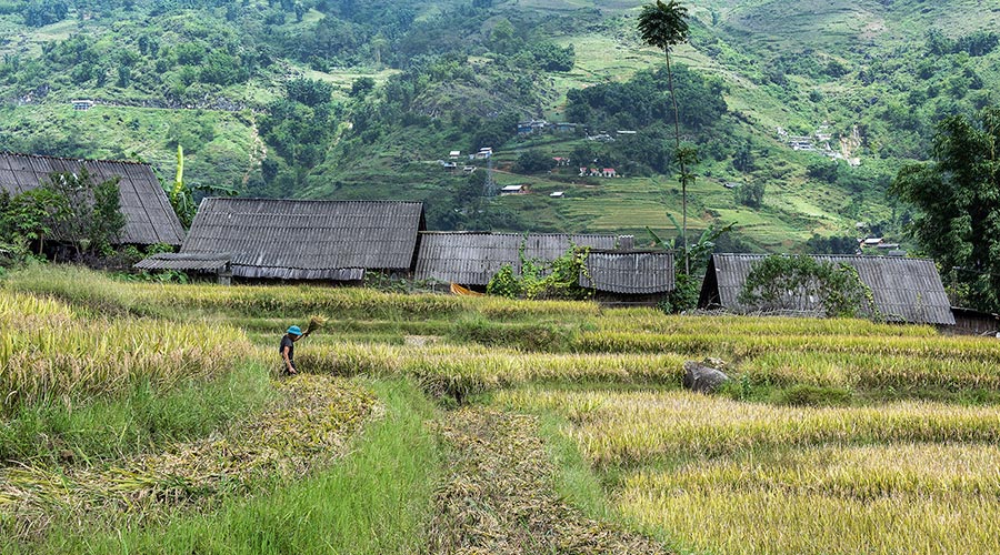 Ta Van Village Sapa