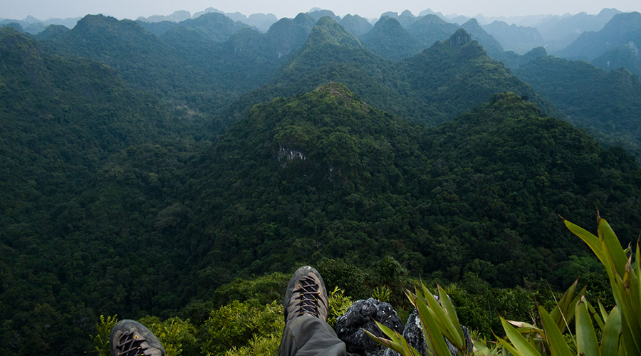 De Vietnamese jungle op Cat Ba eiland in Halong Bay