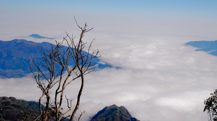 Fansipan trekking in Sapa