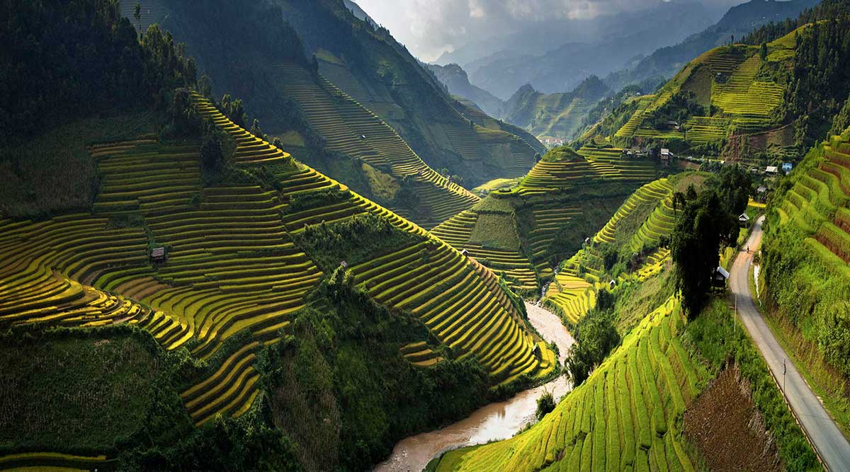 Mu Cang Chai rijstvelden