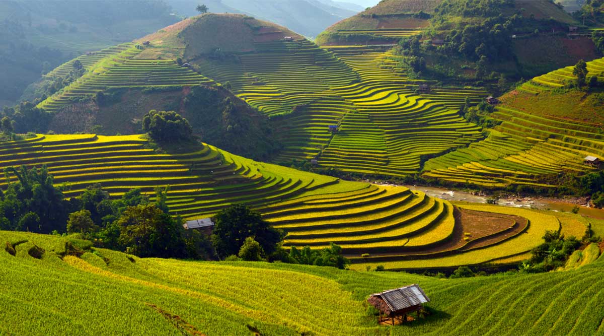 Mu Cang Chai