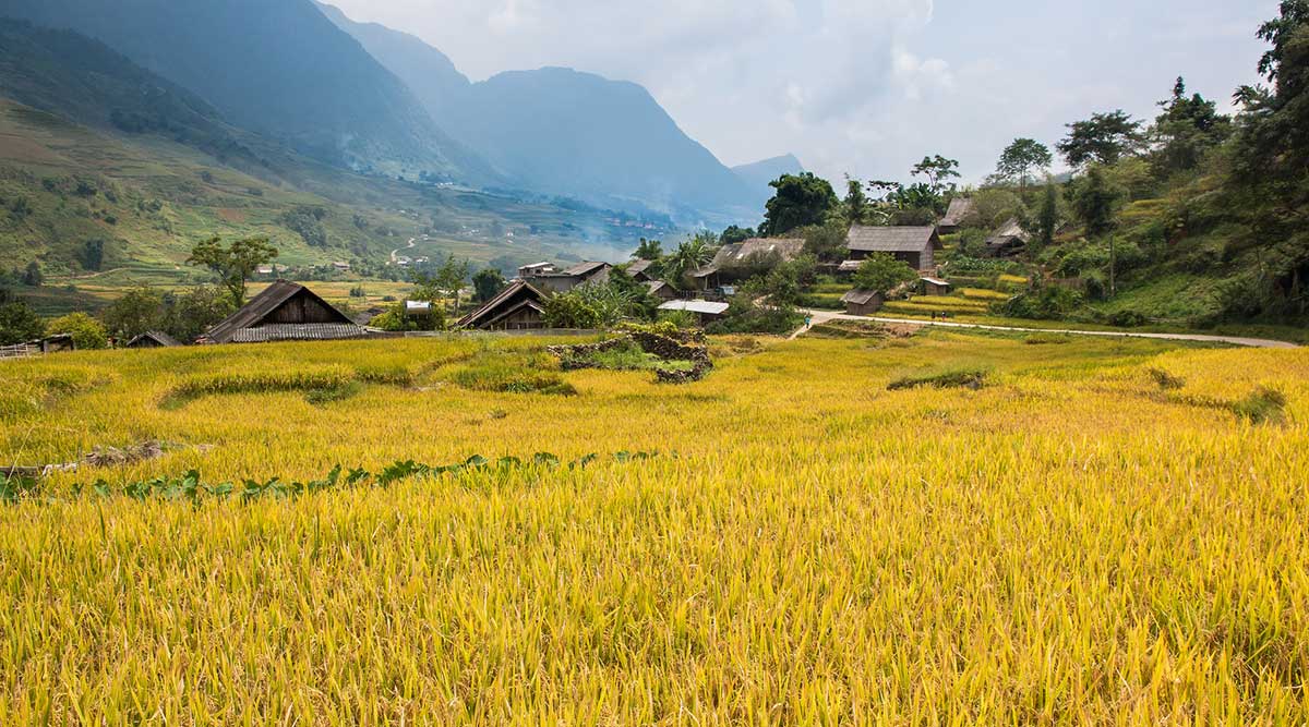 Sapa trekking