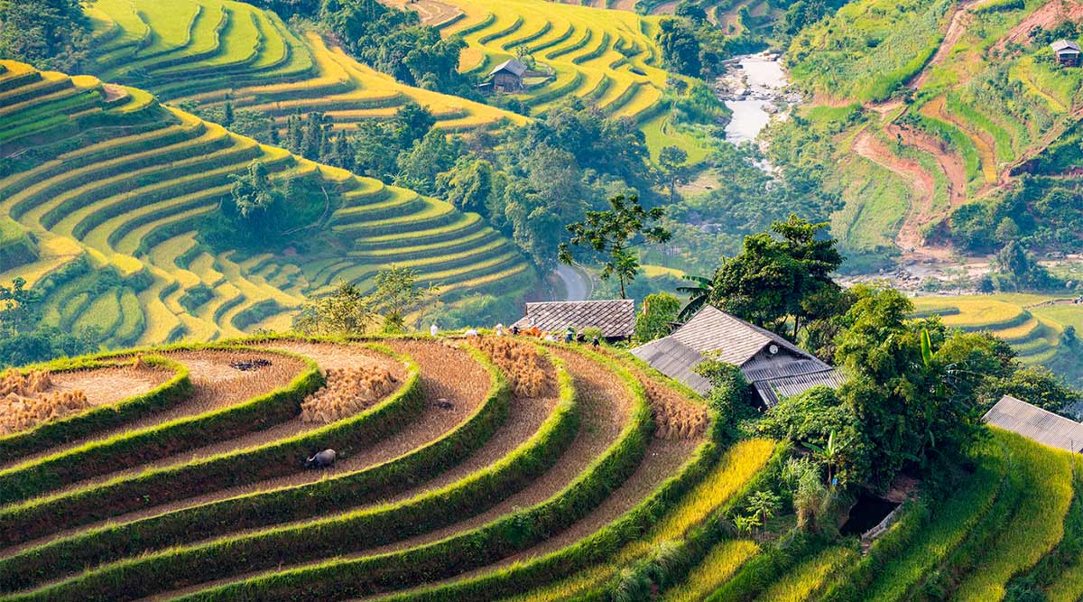 Ban Luoc rijstterrassen
