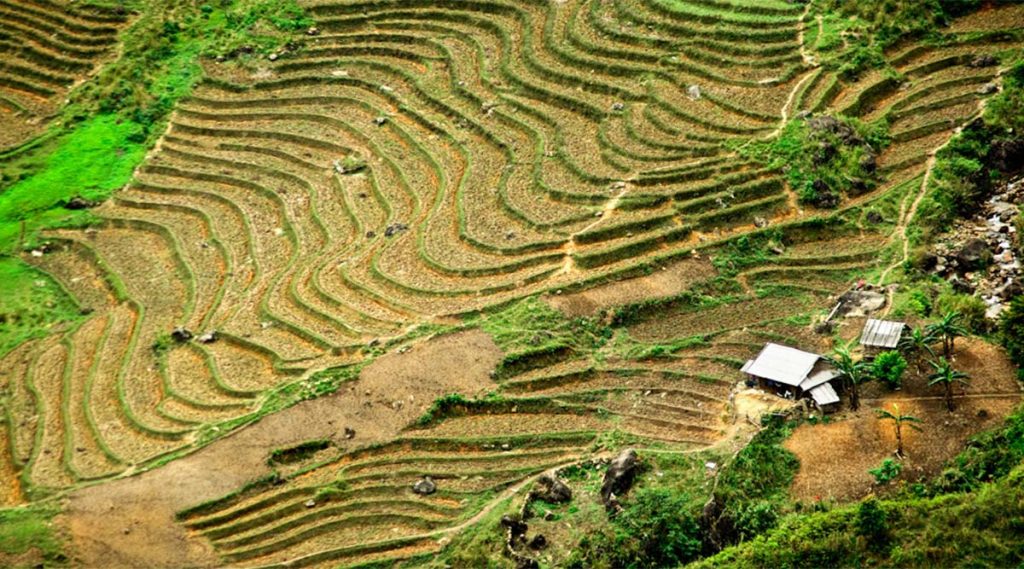 Lai Chau
