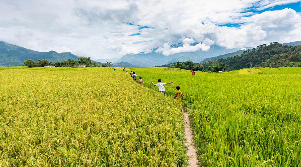 Trekking in Hoang Su Phi