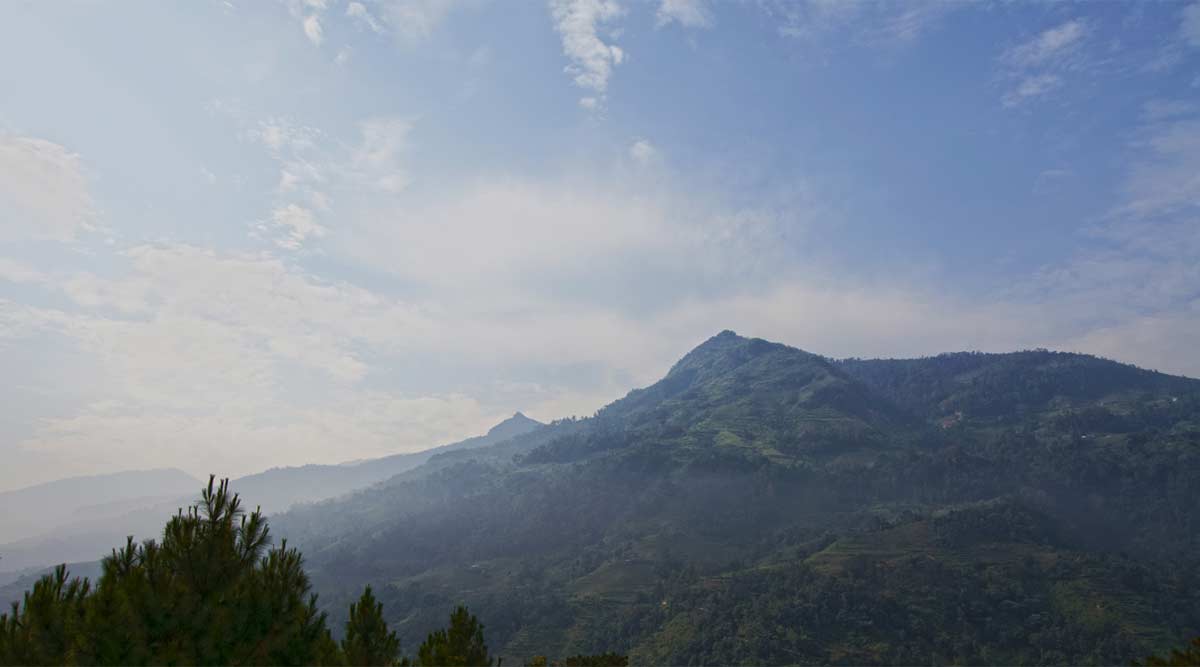 Tay Con Linh in Hoàng Su Phì
