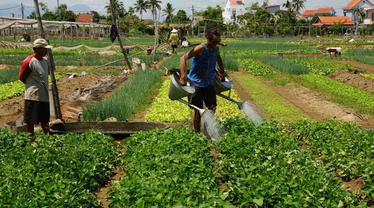 ambachtsdorp in Hoi An