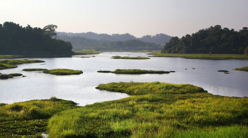 krokodillenmeer in Cat Tien