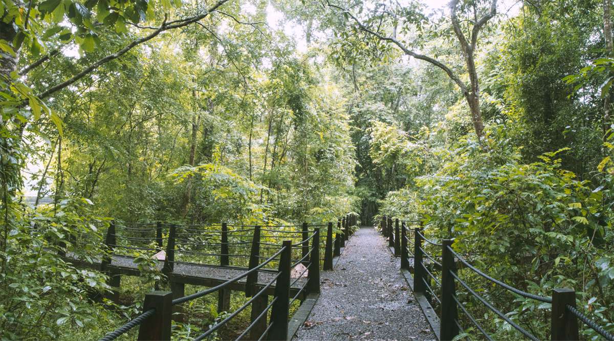 wandelen in Cat Tien National Park