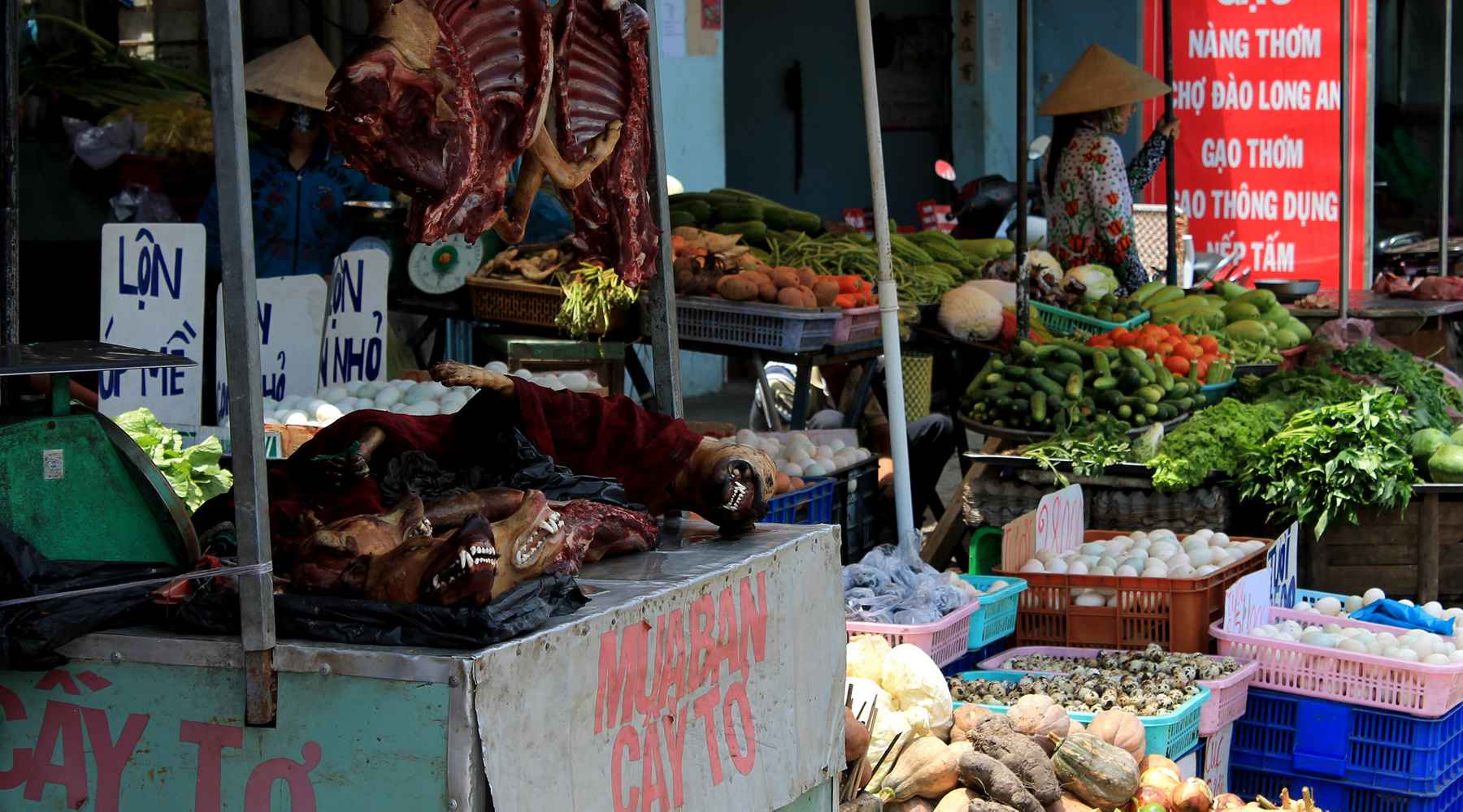 hondenvlees eten Vietnam