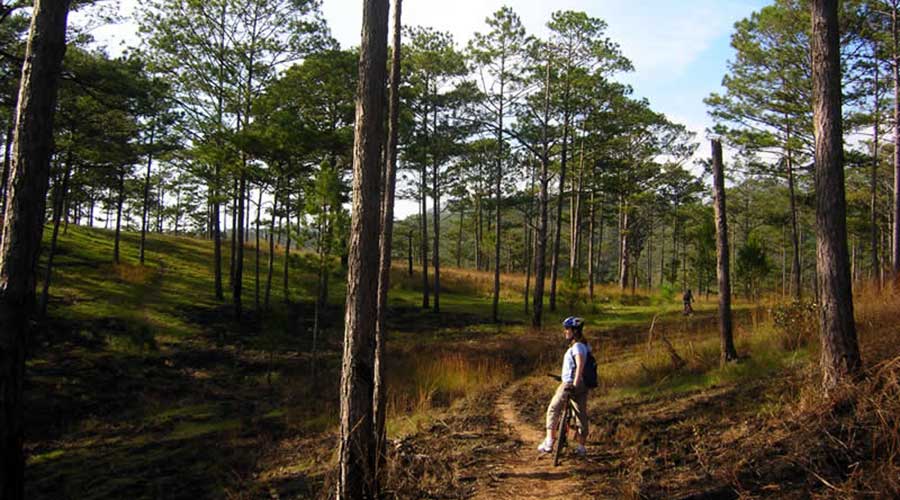mountainbiken Dalat