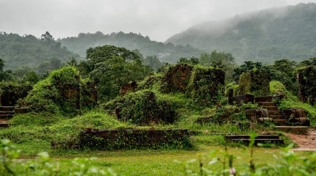 My Son jungle in Vietnam