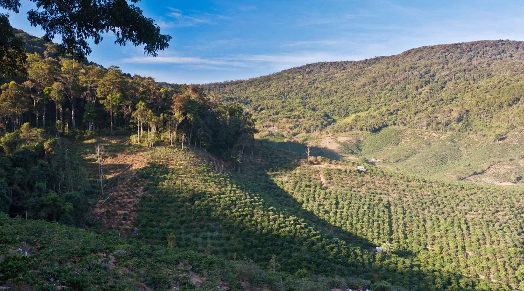 Van Mui Ne naar Dalat