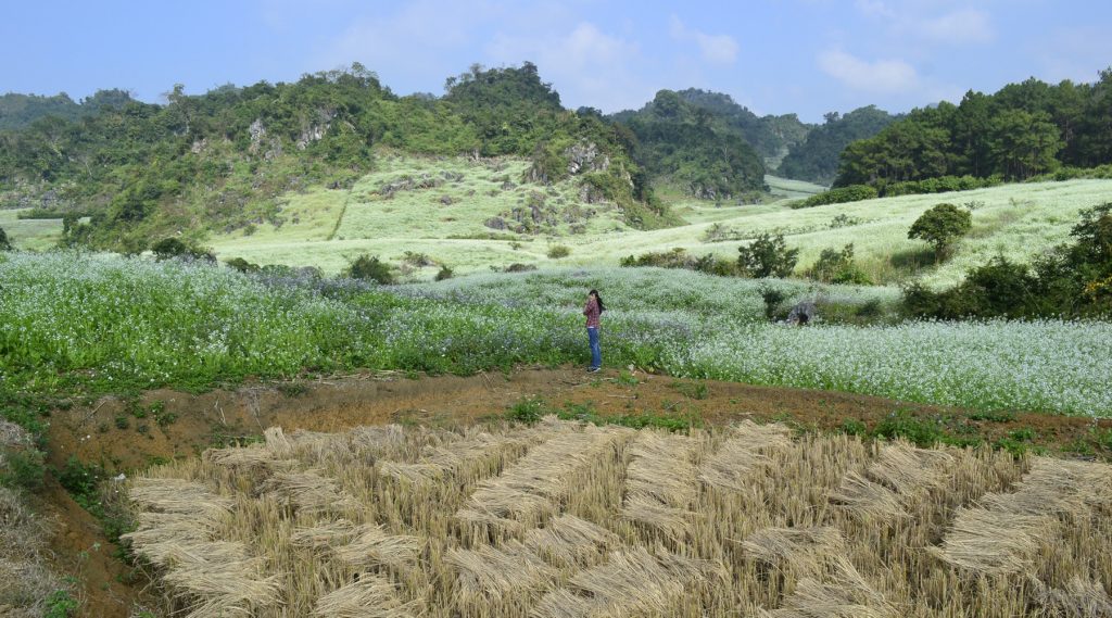 Moc Chau bezienswaardigheden