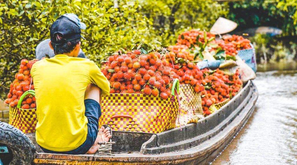 Authentieke Mekong Delta tour