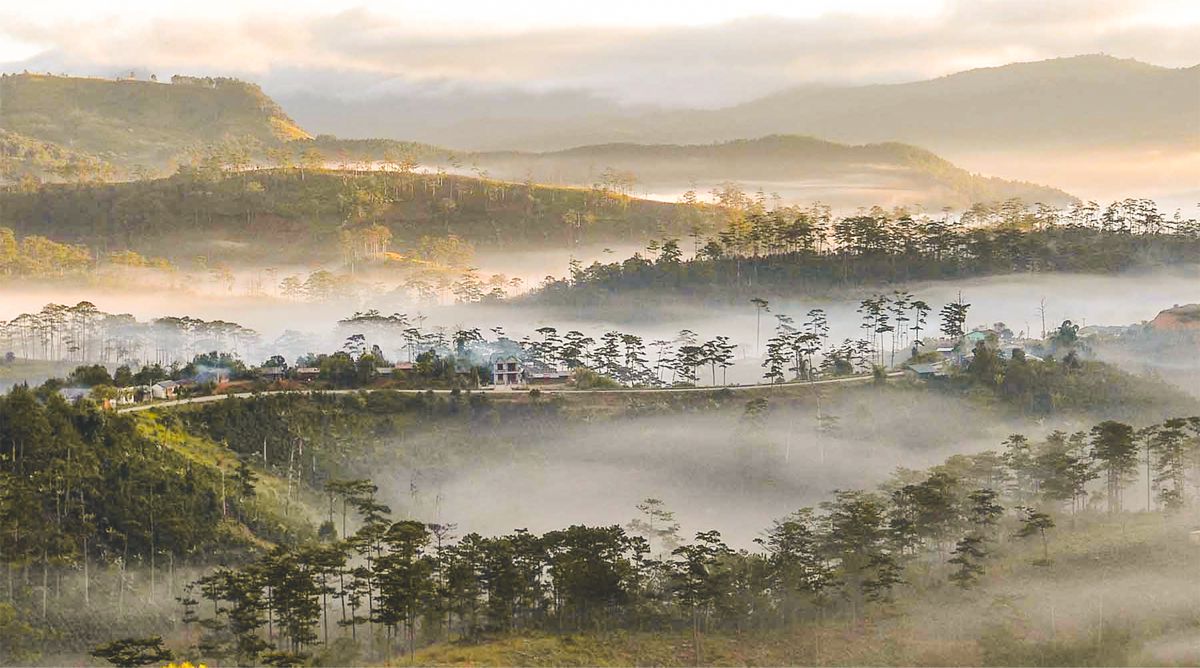 Bidoup National Park trekking & kamperen