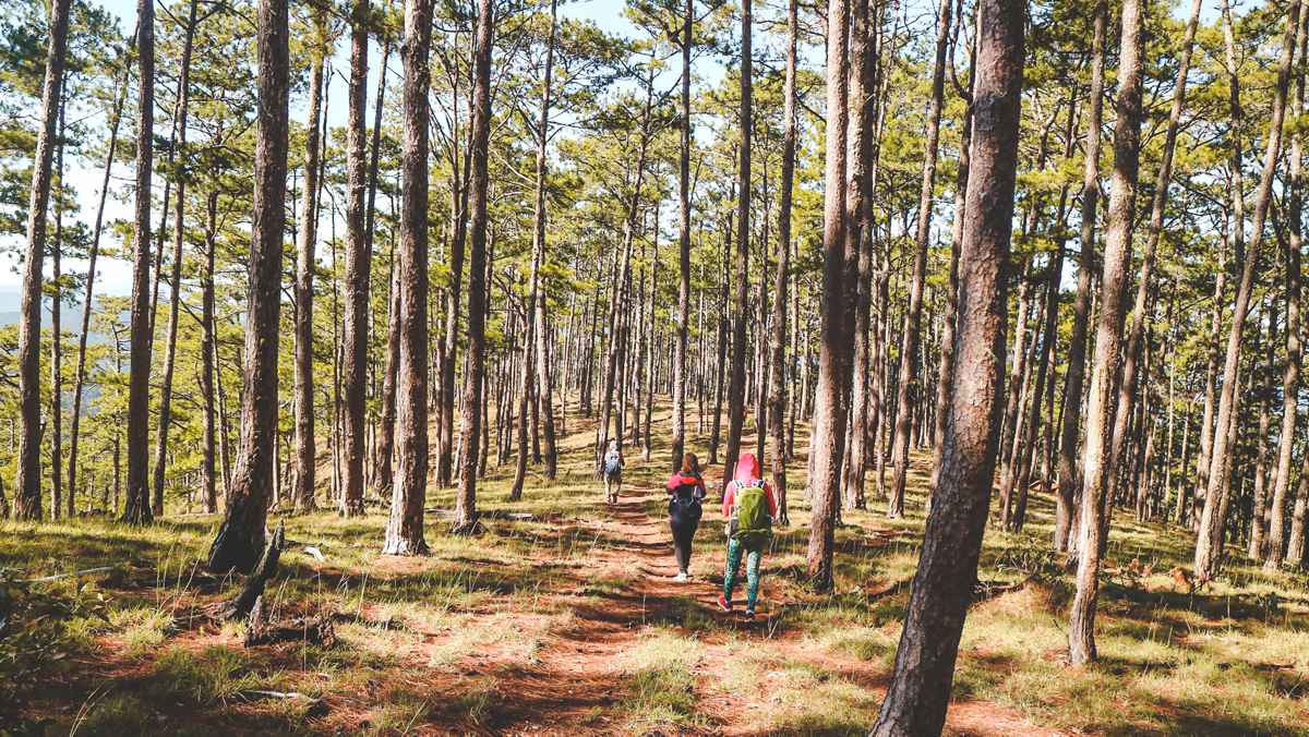 Bidoup National Park trekking & kamperen