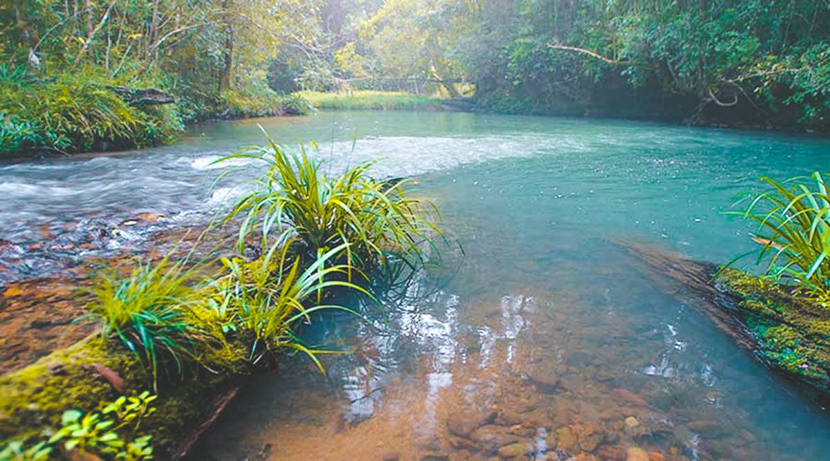 Bidoup National Park trekking & kamperen