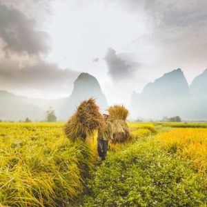 rondreis noord Vietnam