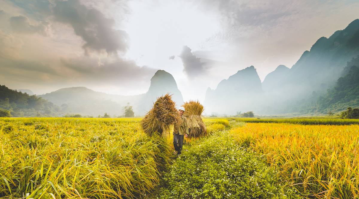 rondreis noord Vietnam