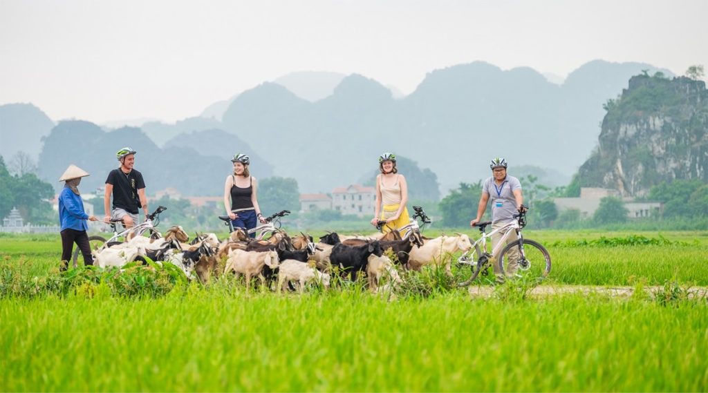 fietsen in Ninh Binh
