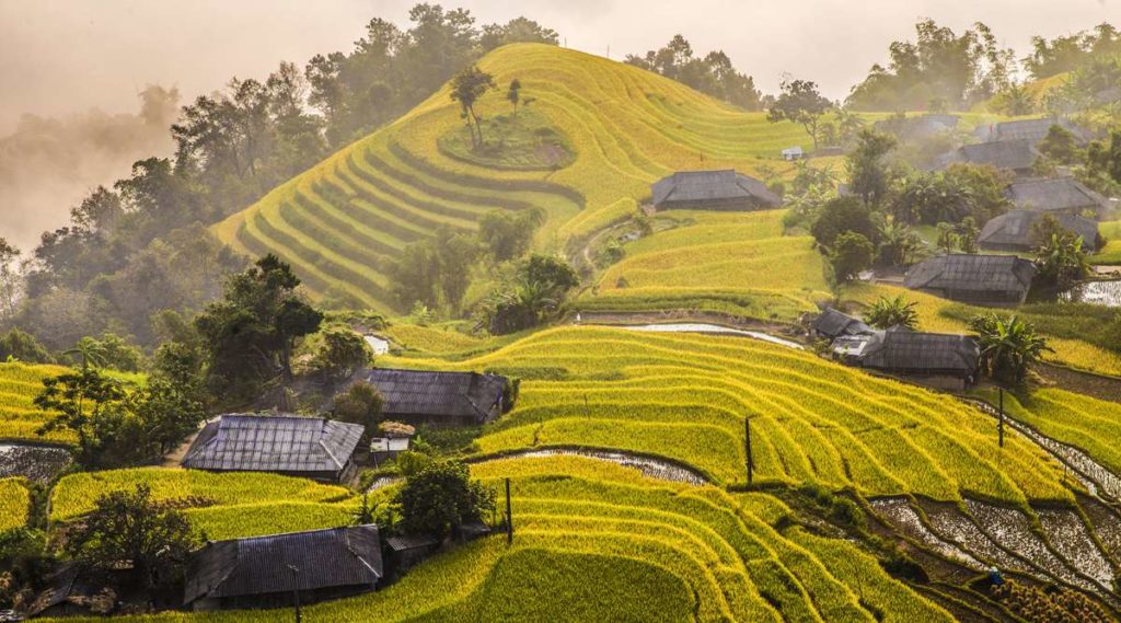 Hoang Su Phi tour