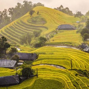 Hoang Su Phi tour
