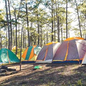 Jungle fever trekking in Dalat