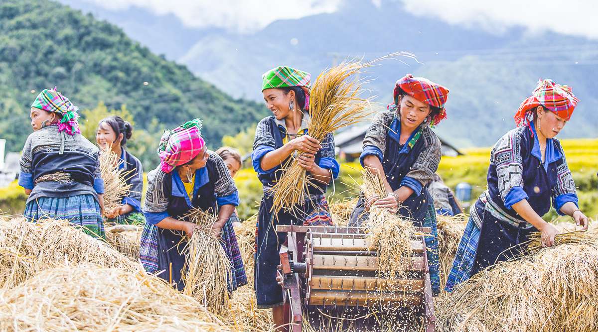 Mu Cang Chai tour
