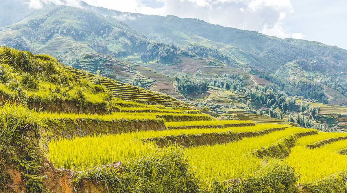 Sapa trekking