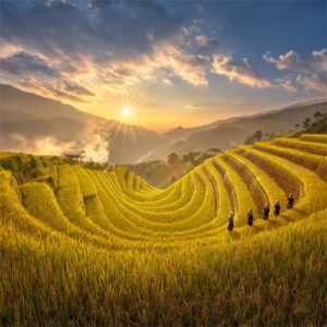Mu Cang Chai