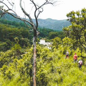 trekking Heaven gate trail in Dalat