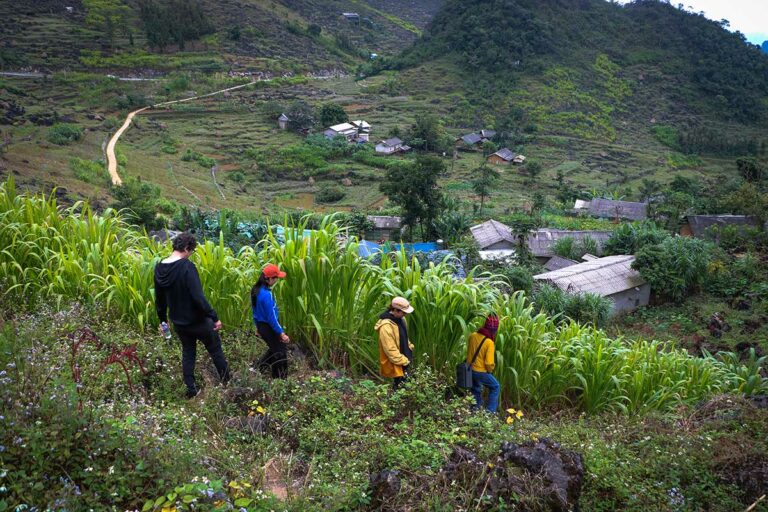 Wandelaars die door een groen berglandschap in Ha Giang trekken, langs traditionele huizen en landbouwterrassen.