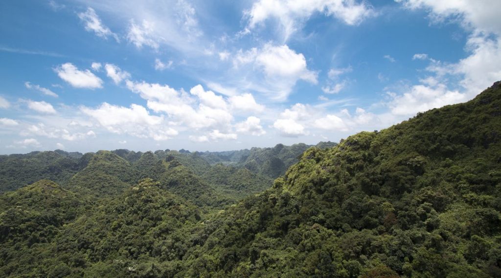 Cat Ba Nationaal Park