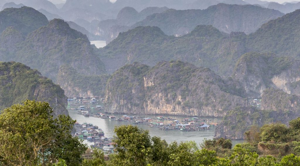 Cat Ba tour