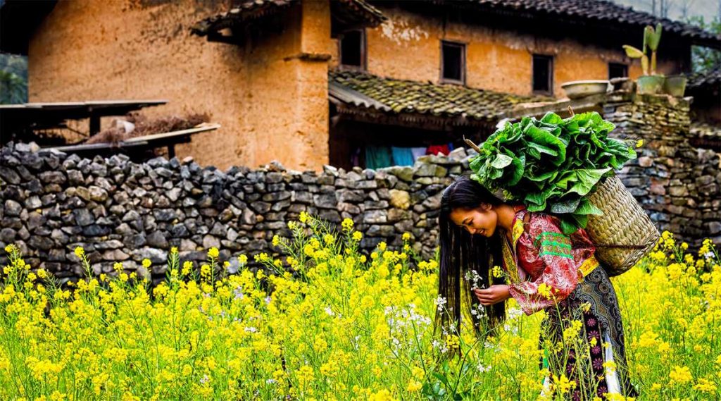 Ha Giang bloemen