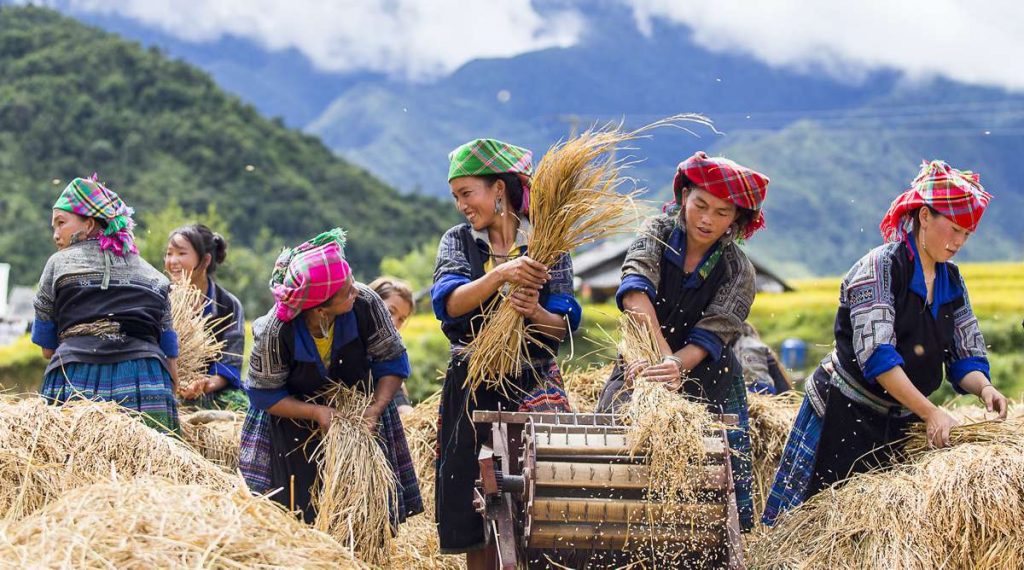 Hmong bergstammen in Mu Cang Chai