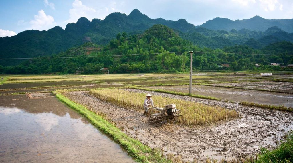 Mai Chau