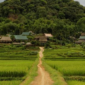 Pu Luong Nature Reserve