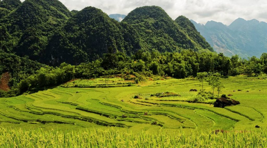 Pu Luong Nature Reserve