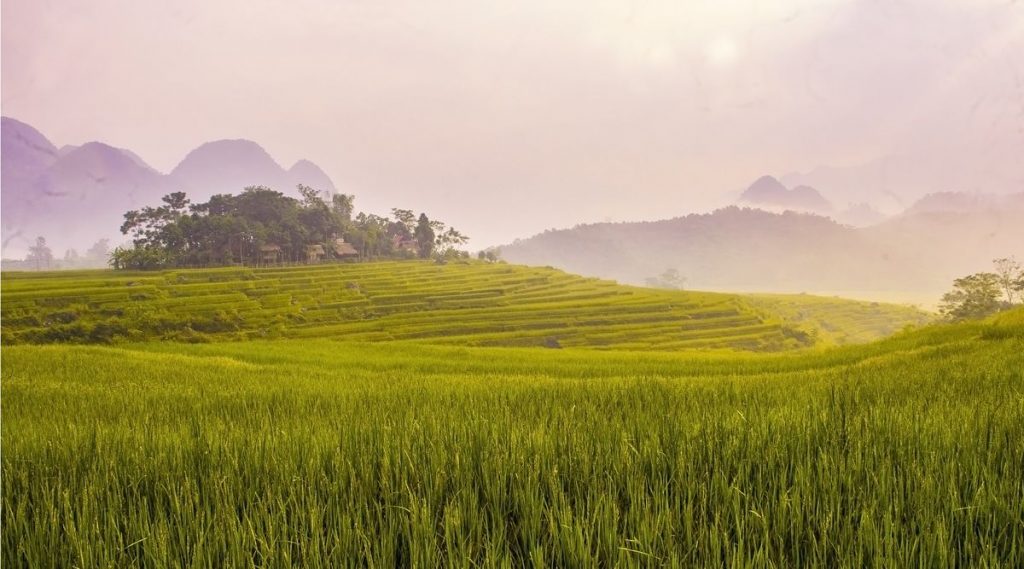 Pu Luong Nature Reserve