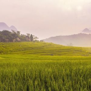 Pu Luong Nature Reserve