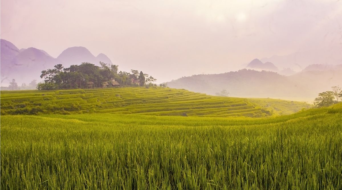 Pu Luong Nature Reserve
