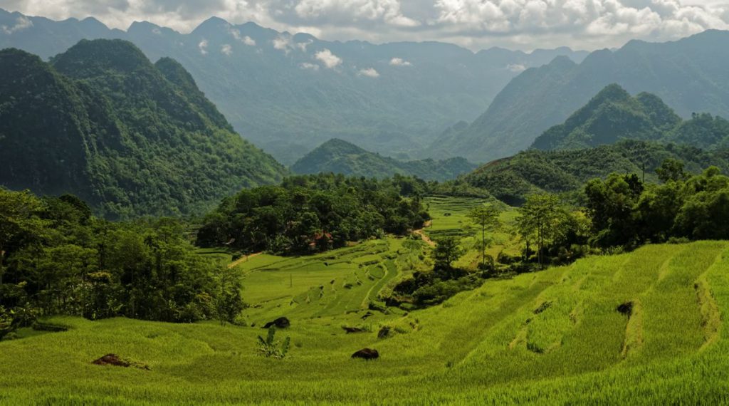 Pu Luong Nature Reserve