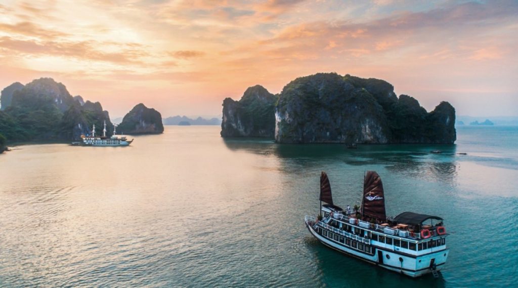Swan cruise Bai Tu Long Bay