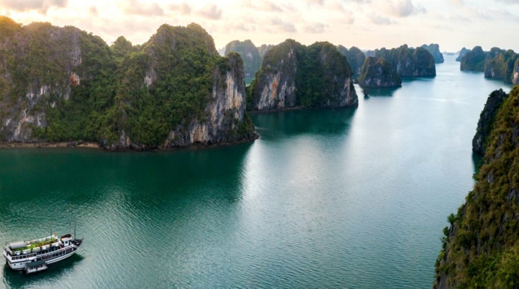 Swan cruise Bai Tu Long Bay