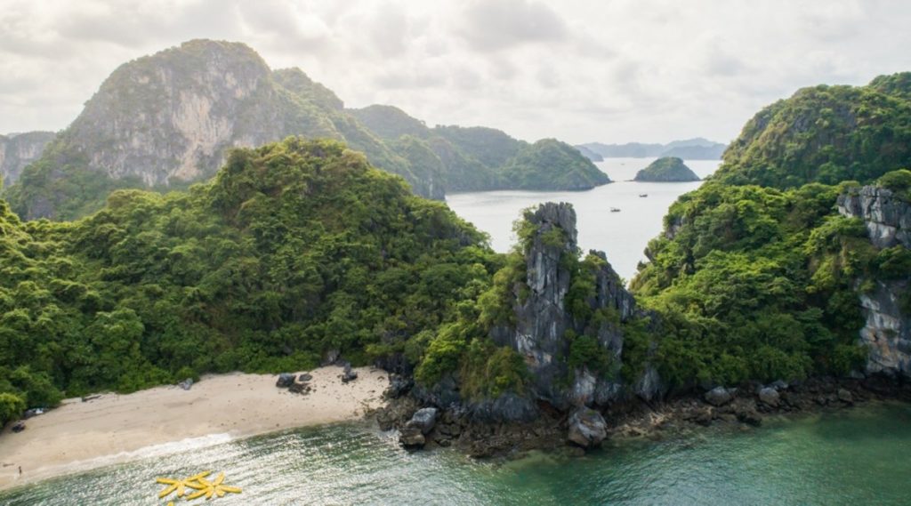Swan cruise Bai Tu Long Bay