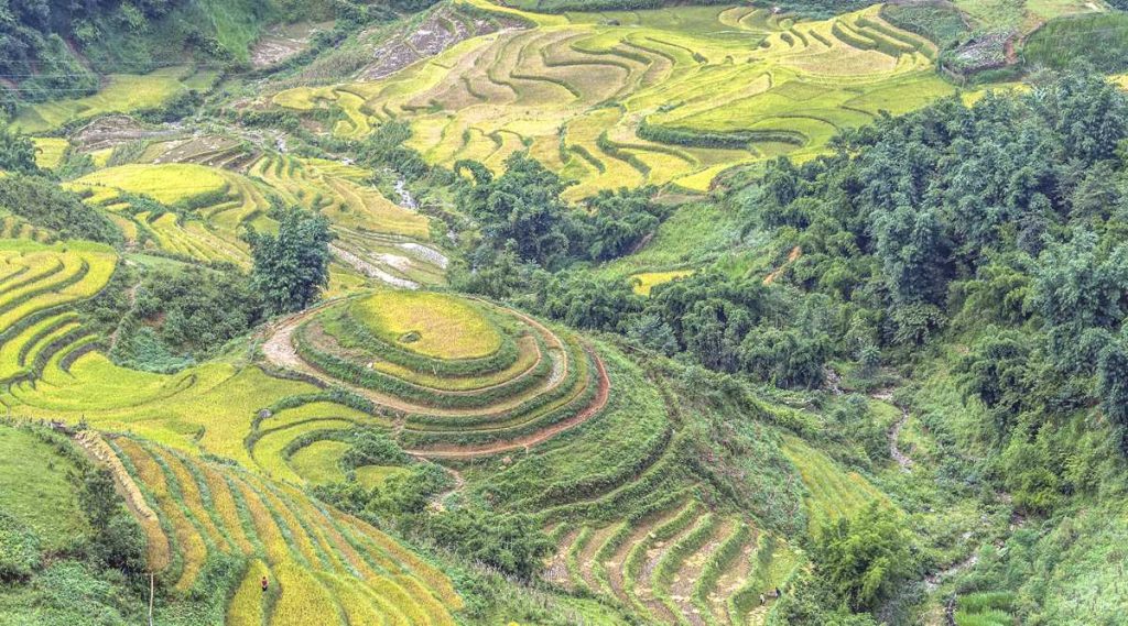 Ta Van trekking nabij Sapa